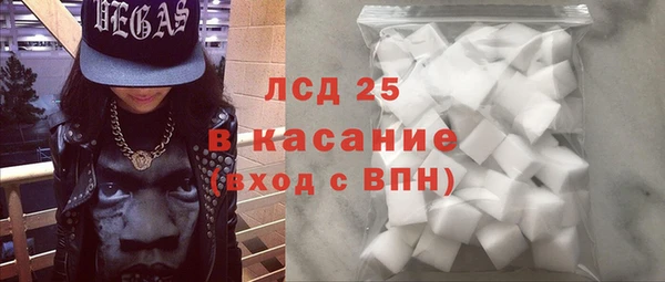 сатива Армянск