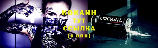 сатива Армянск