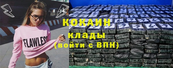 сатива Армянск