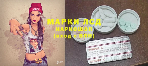 сатива Армянск